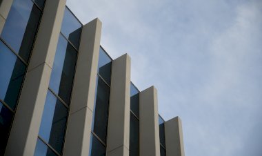 Olimpíadas da Biotecnologia desafiam alunos do Secundário a testar conhecimentos sobre ciência