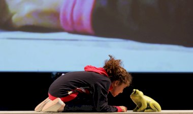 "Engolir Sapos" no Teatro Nacional D. Maria II