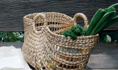 Mercado da Estefânia recebe Sintra Vegan Market