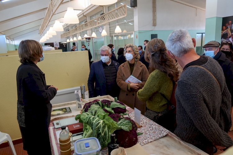 Idanha-a-Nova lança o inovador Mercado da Bio-Região