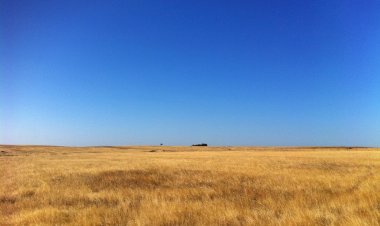 Seca afecta gravemente a actividade agro-pecuária da região do Baixo Alentejo