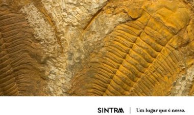 Sintra recebe exposição "Um Mar sem Fim"