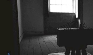 Exposição “Estranhofones” no Theatro Gil Vicente