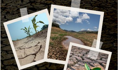 Município de Monchique lança campanha de sensibilização para poupança de água