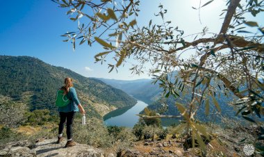 Alijó lança Rede de Percursos Pedestres com mais de 200 quilómetros