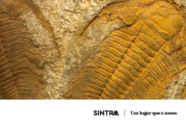 Sintra recebe exposição "Um Mar sem Fim"