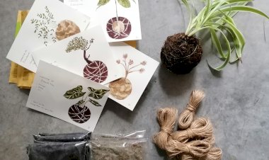 Tradições do Japão para aprender no Museu do Oriente