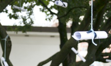 Semana da Poesia regressa a Oliveira do Bairro