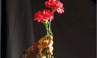 “Tons de Abril” no Cineteatro São João Comemorações do 25 de abril de 1974