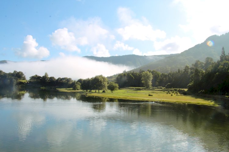 Câmara Municipal de Ponta Delgada assinala Dia Internacional da Floresta e Dia Mundial da Água