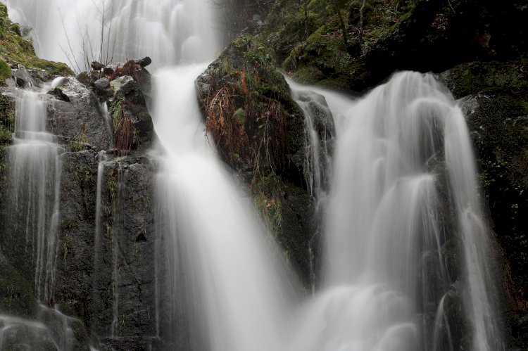 Lousã celebra dias temáticos sobre o Ambiente