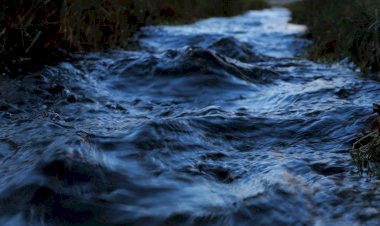 Câmara de Águeda dinamiza ciclo de tertúlias “Rio de Conversas”