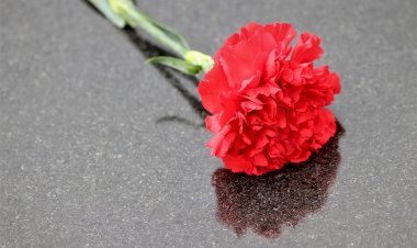 Pedro Jóia no Teatro Virgínia a 25 de Abril