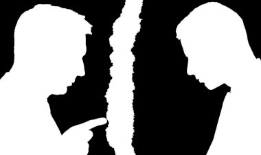 "História do Conflito de Gerações" em livro