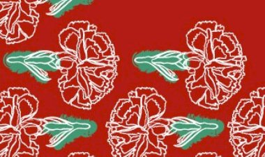 Viseu assinala os 48 anos da “Revolução dos Cravos” com programa comemorativo