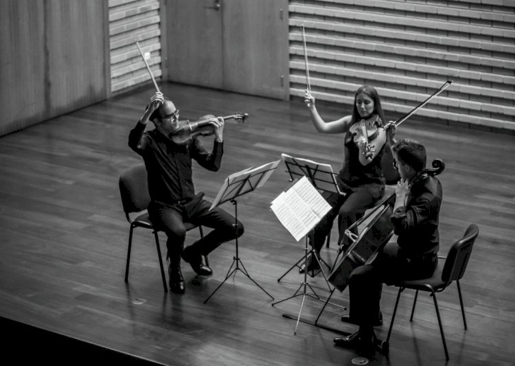 Câmara Municipal Coimbra oferece à cidade concerto de Páscoa
