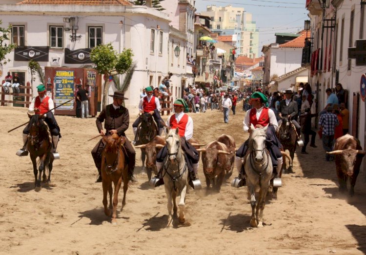 Feira de Maio de Azambuja volta em 2022 com seis dias de festa