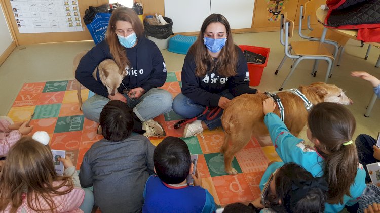 Ler em Cãopanhia: mais de 400 crianças participaram nesta iniciativa