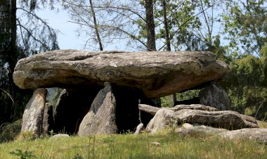 Turismo Centro de Portugal visitou valências turísticas de Sever do Vouga
