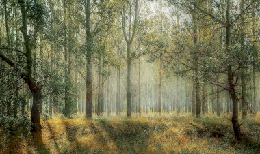 Semana Europeia de Geoparques em mais um Festival da Paisagem