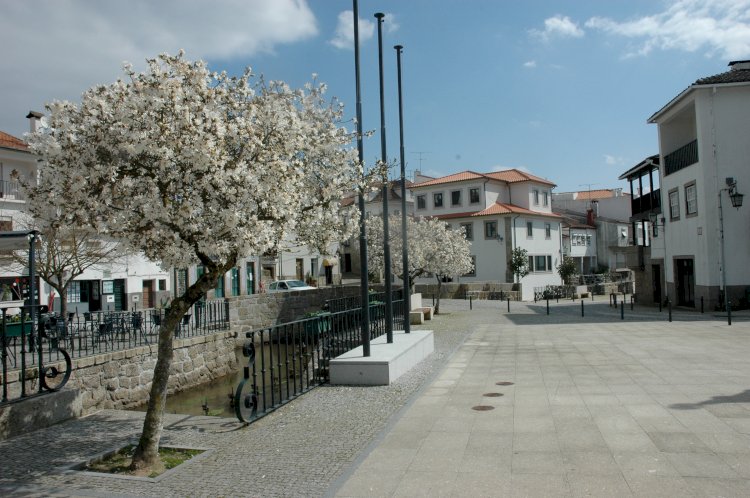 Centro de Santa Comba Dão - Santa Comba Dão