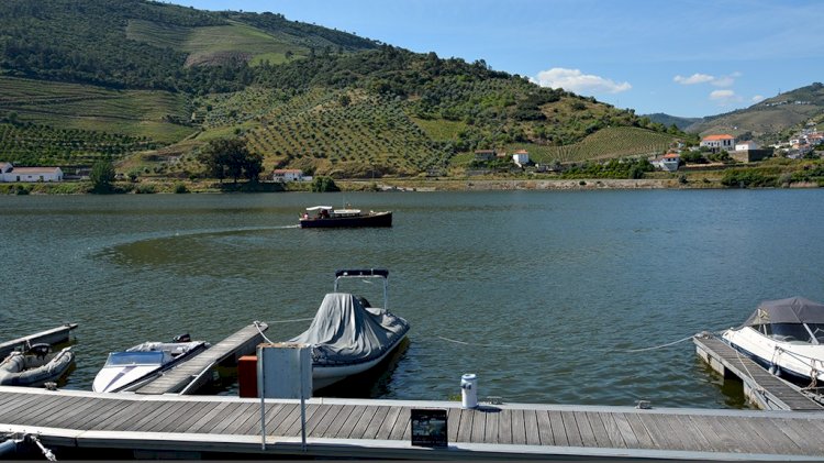 Cais Fluvial da Folgosa - Armamar