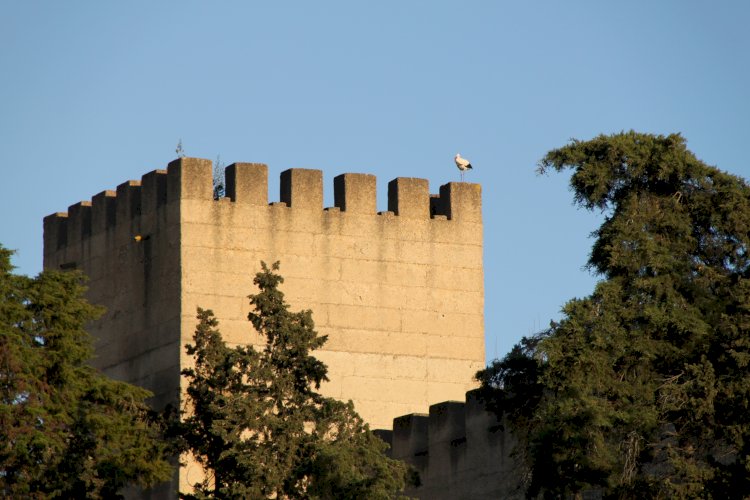 Castelo de Alcácer do Sal - Alcácer do Sal