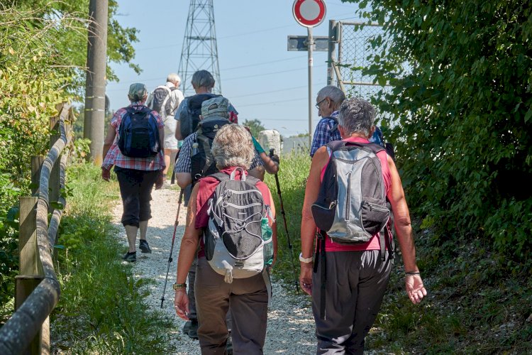 Rotas Pedestres desafiam os munícipes de Mangualde a praticar desporto