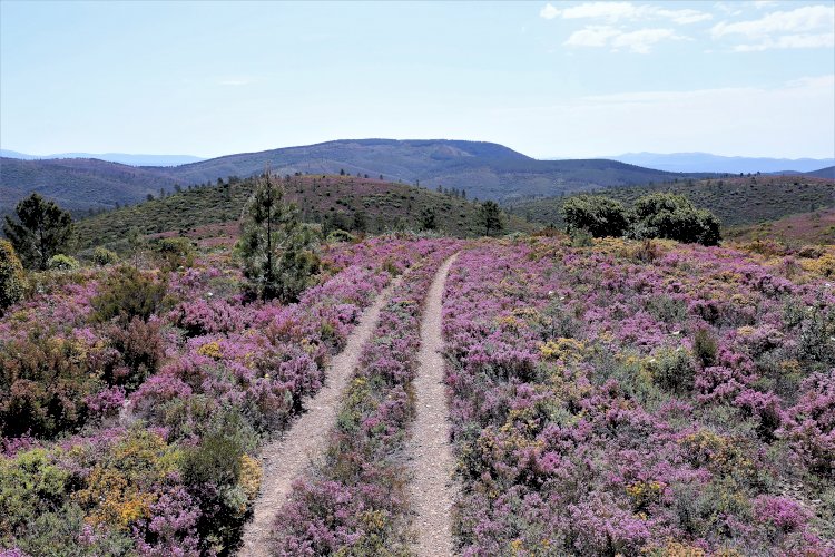 Reserva Natural da Serra da Malcata - Penamacor