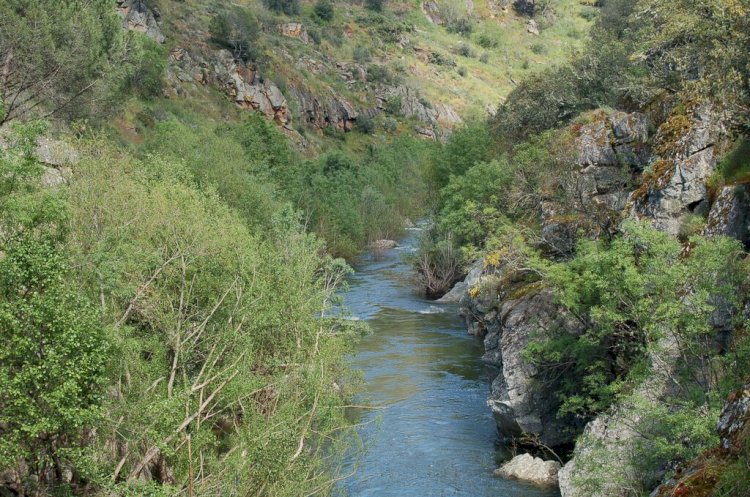 Microrreserva do Rio Tinhela - Murça