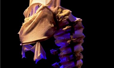 Casulo, uma experiência sensório-teatral em estreia na Casa da Criatividade