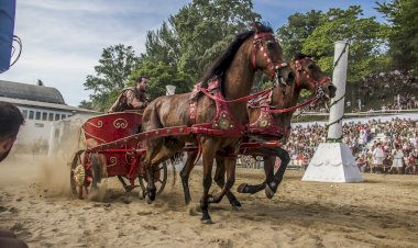“Condeixa – O Vislumbre de Um Império” regressa ao cenário vivo de Conimbriga