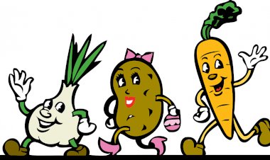 Sintra debate estilos de vida sustentáveis em contexto escolar