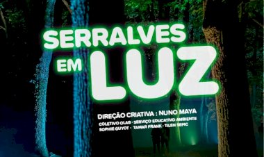 Serralves em Luz
