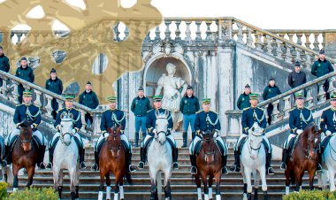 XIV Feira do Cavalo de Ponte de Lima