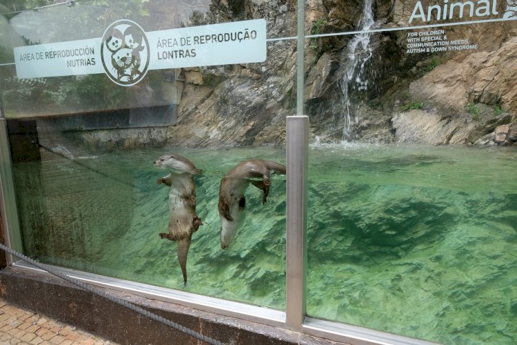 Cerveira assina protocolo de colaboração com Estação Biológica Internacional Douro