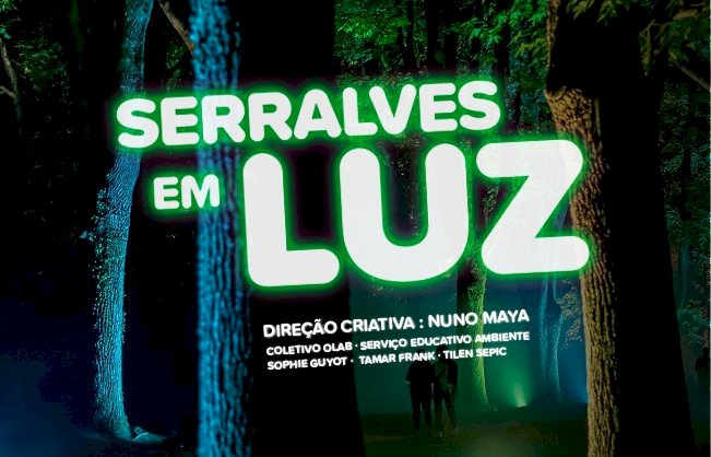 Serralves em Luz