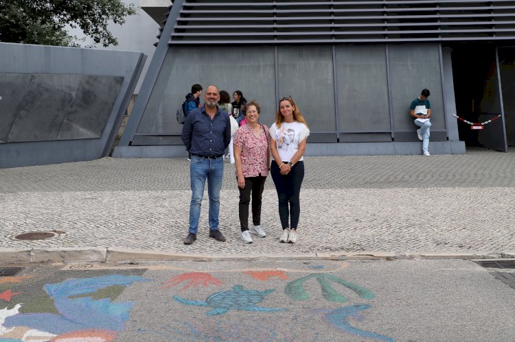 "O mar começa aqui"... nas sarjetas e sumidouros