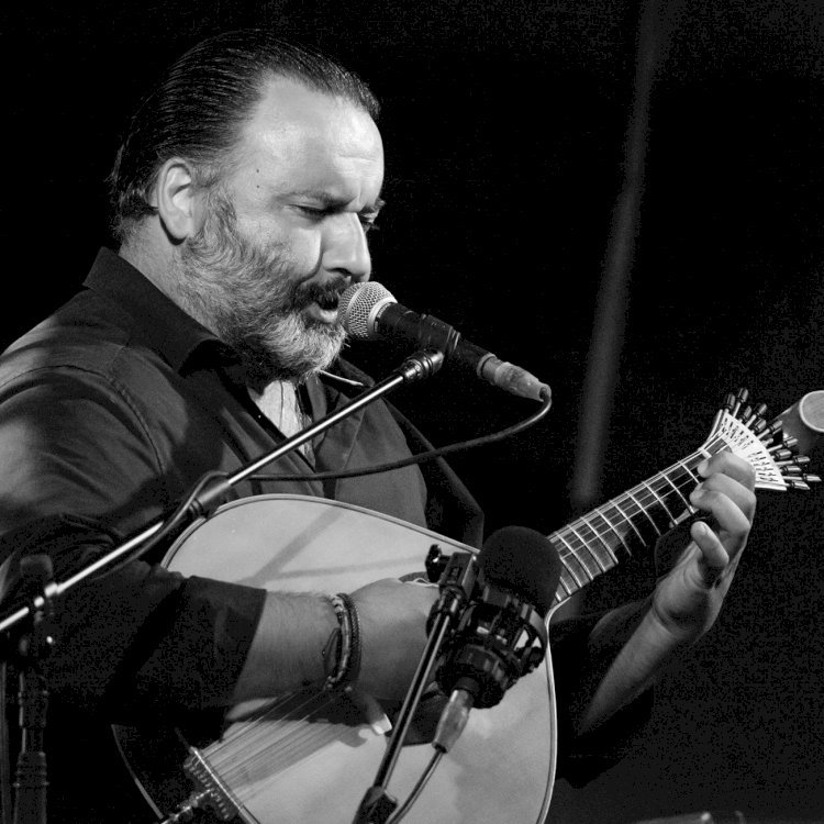 Descobrir a guitarra portuguesa em Arraiolos, com Henrique Leitão