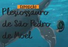 Plesiossauro mais antigo da Península Ibérica em exposição em S. Pedro de Moel