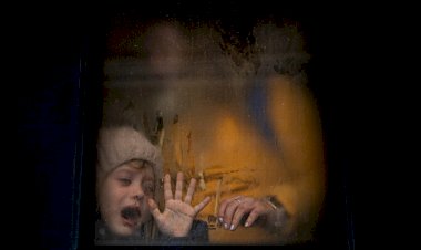 Fotojornalista João Porfírio expõe "75 dias na Ucrânia" na antiga Lota de Portimão