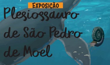 Plesiossauro mais antigo da Península Ibérica em exposição em S. Pedro de Moel