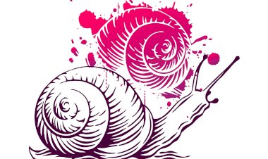 Festival Internacional do Caracol regressa ao Revelim de St. António