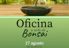Sátão promove  oficina "A arte do Bonsai"