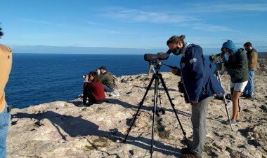 Programa do Festival de Observação de Aves já está disponível online