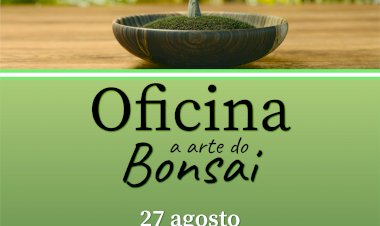Sátão promove  oficina "A arte do Bonsai"