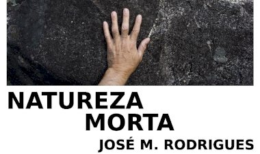 “Natureza Morta” na Biblioteca Municipal José Saramago