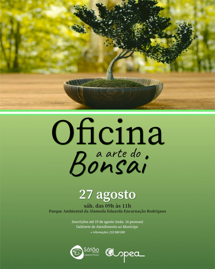 Sátão promove  oficina "A arte do Bonsai"