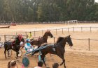XXIV Corrida de cavalos a galope e trote atrelado