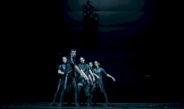 Centro Cultural Vila Flor assinala 17º aniversário com espectáculo de dança